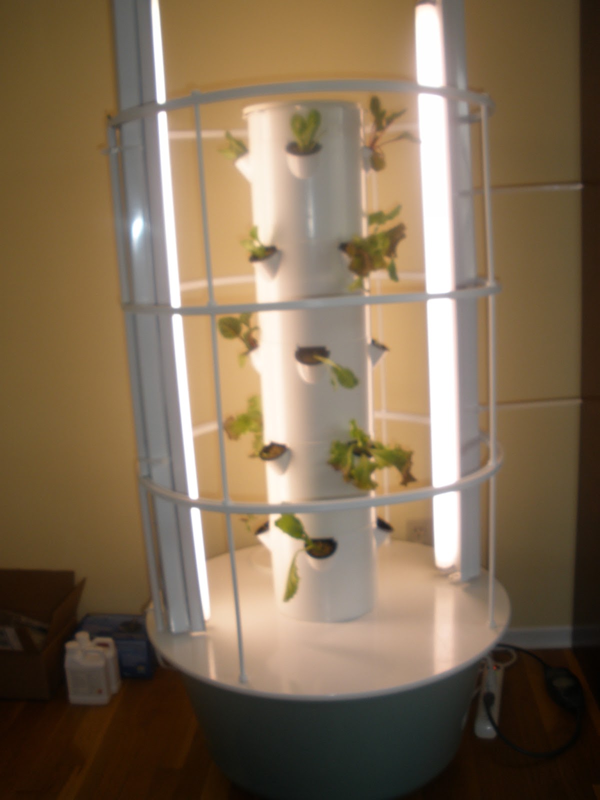 Living Intentionally by God's Grace: #37 The Tower Garden & Juice Plus