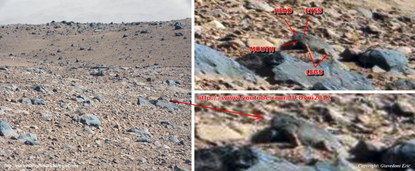 Ancient Aliens On Mars Live Animals On Mars