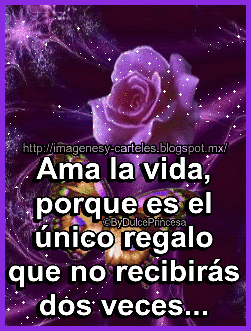 Imágenes y Carteles Ama la vida, porque es el único regalo que no recibirás dos veces...