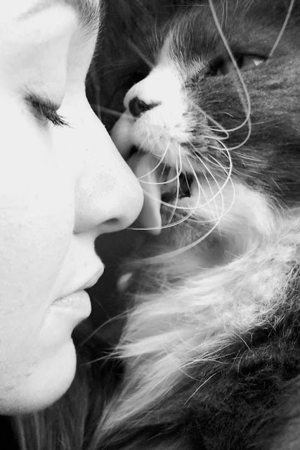 5 signs your cats loves you