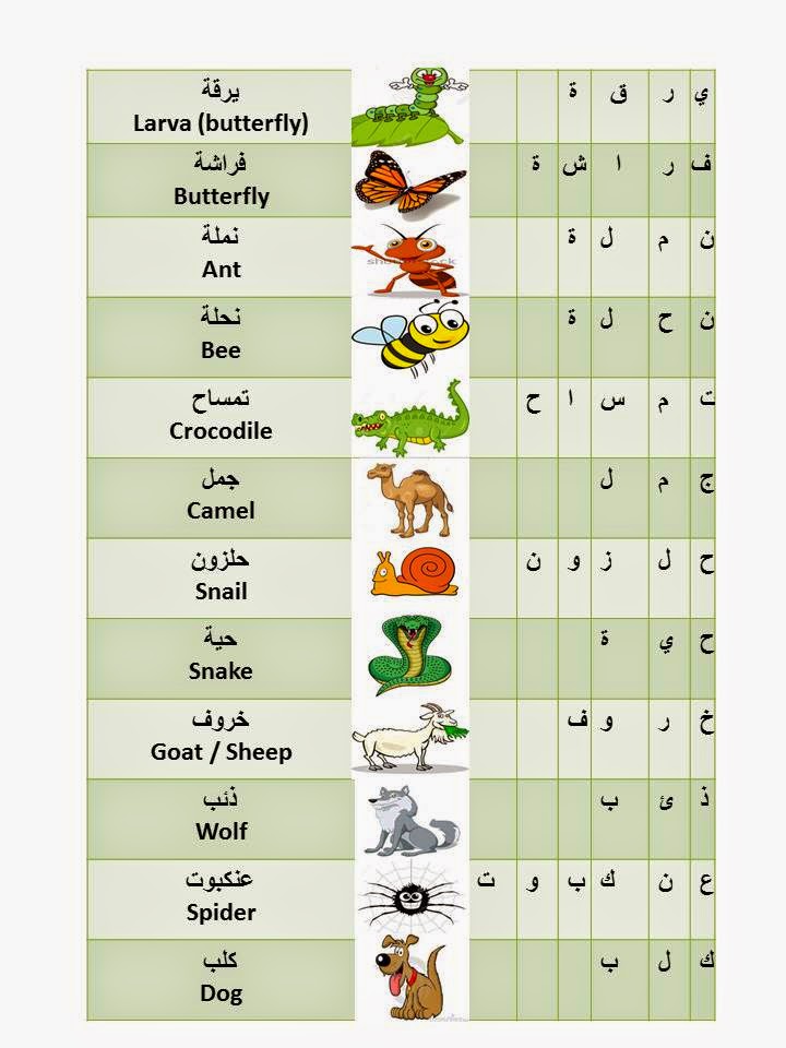 Education Made Fun Arabic Birds & Animals