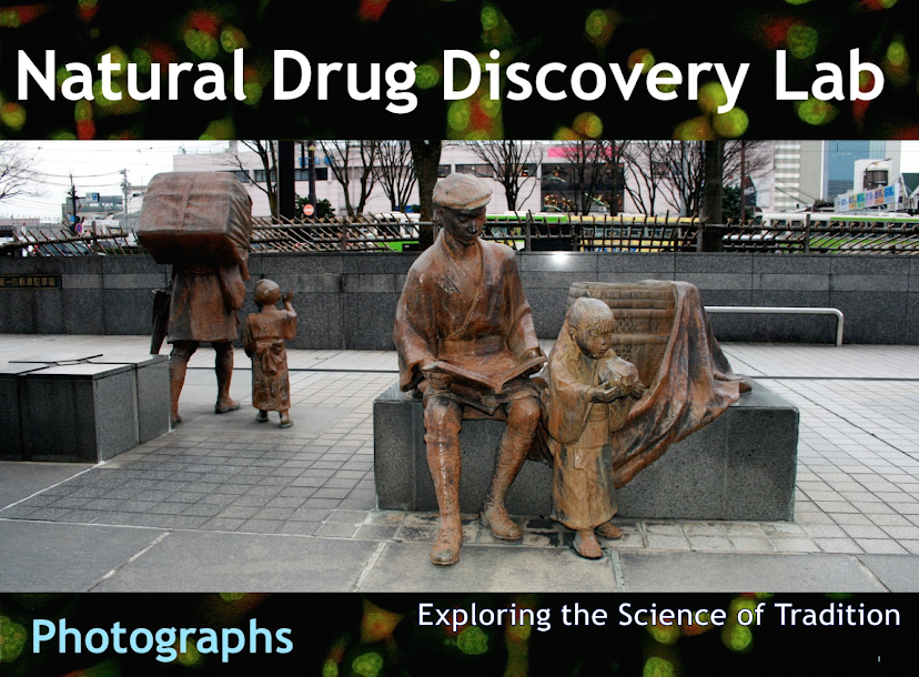 Division of Natural Drug Discovery