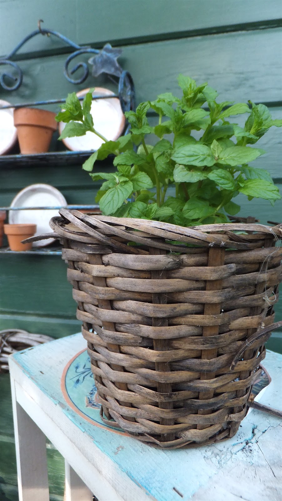 Ash Tree Cottage My Herb Garden Potting Bench