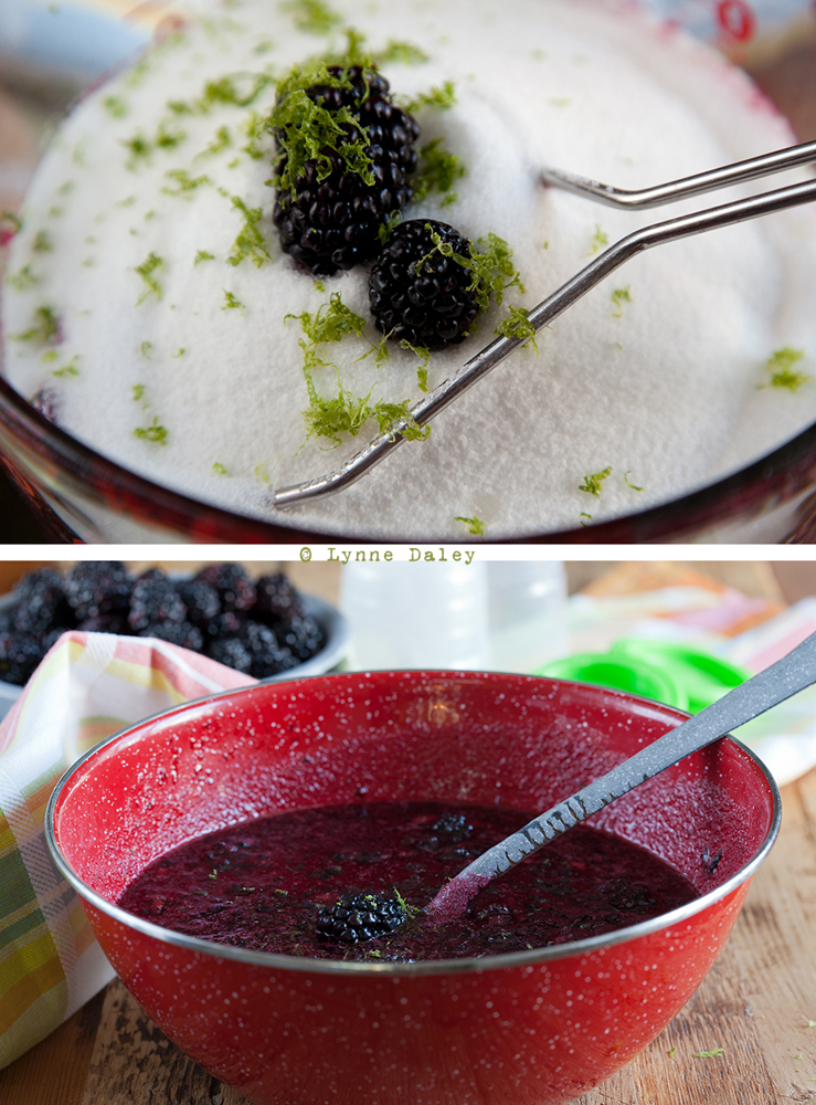 Cafe Lynnylu BlackberryLime Freezer Jam