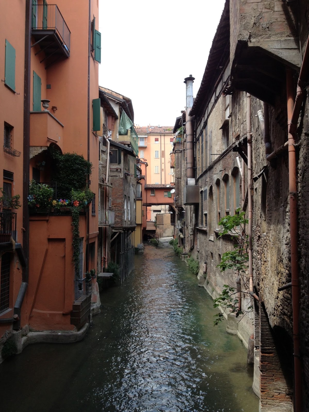 Retroment of Baron and Baroness Von D'Lucci Bononia Docet (Bologna