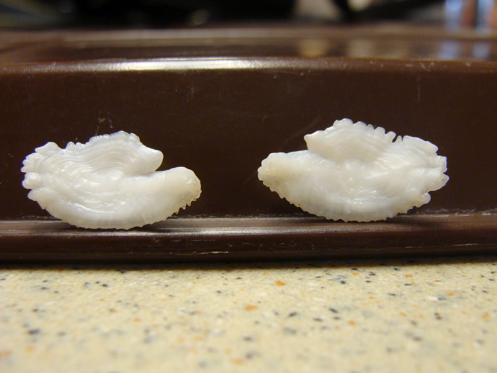 Cindy Johns So many pictures so little time to post!