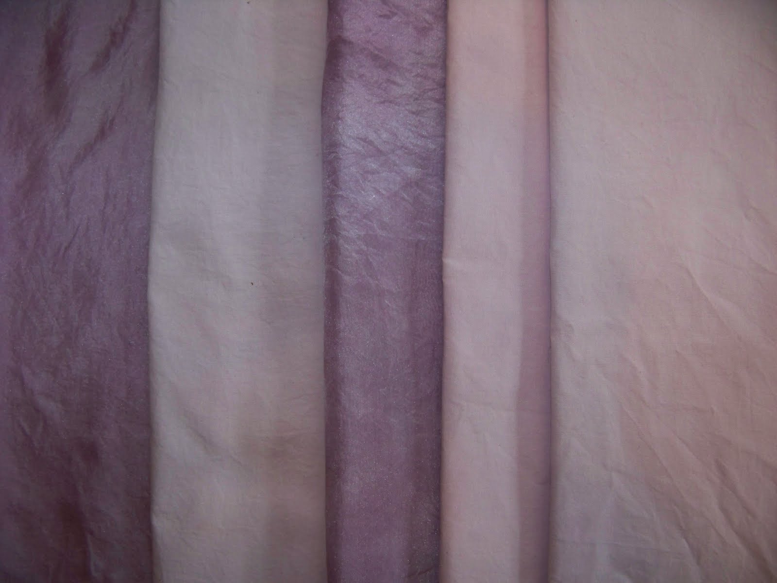 Carol R. Eaton Designs Dyeing with Fruit