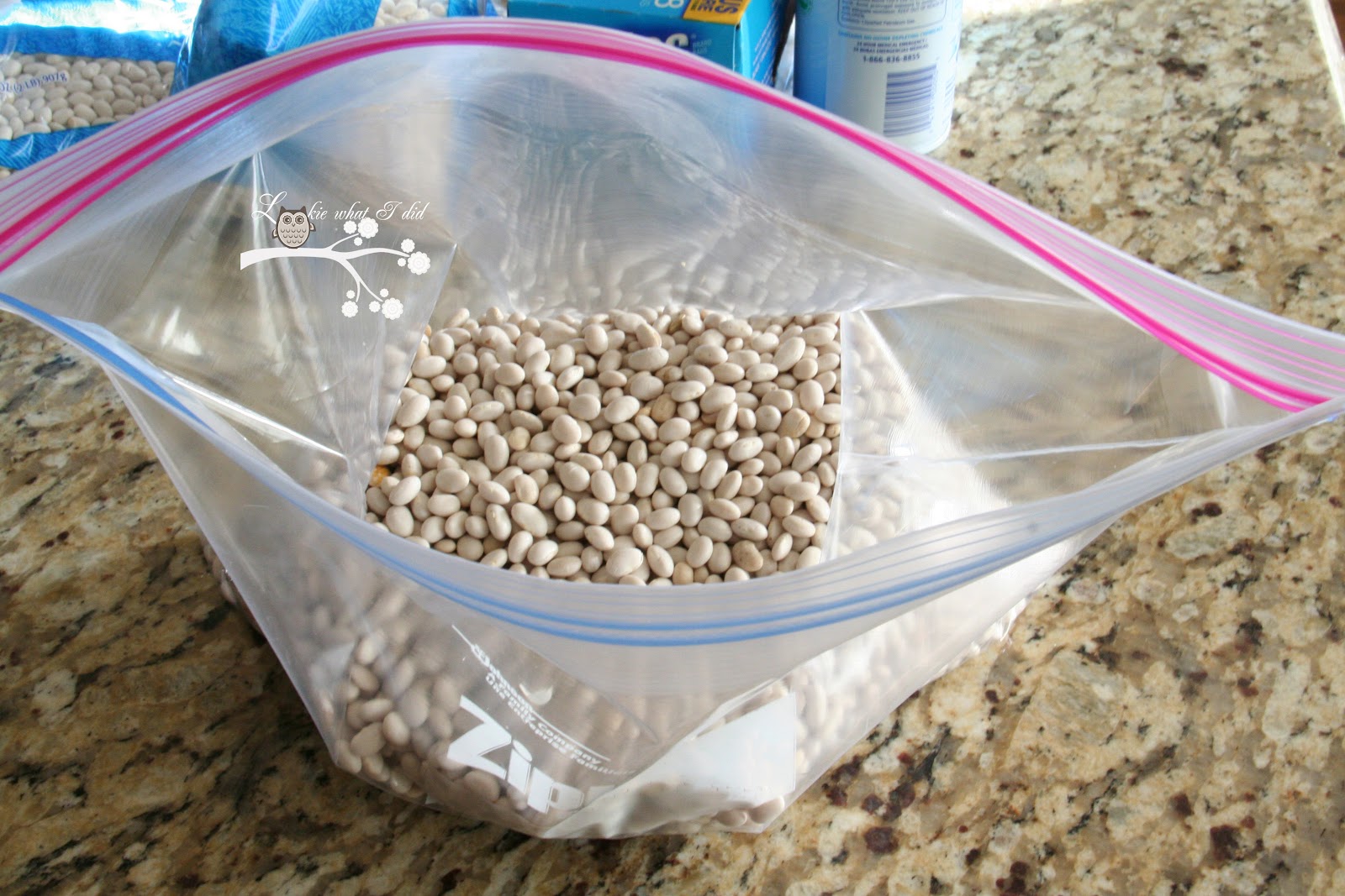 Lookie What I Did Spring Colored Beans.......