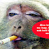 Harga Rokok Naik RM16 Sekotak