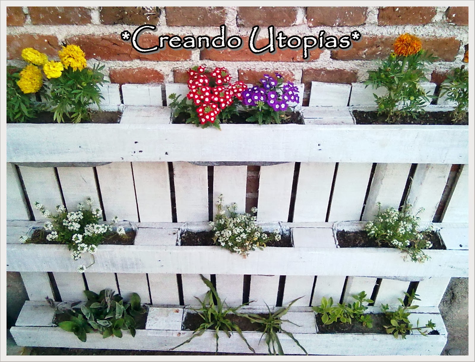 Mamá Orquesta: Pequeño Jardín en un Palet