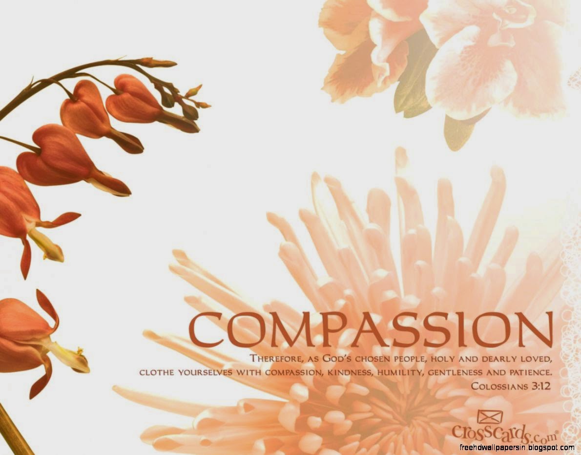 Colossians Crosscards Com Colossians Crosscards Com