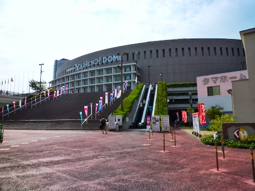 P1020434.jpg