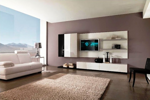Paint Color Ideas for Living Room Accent Wall
