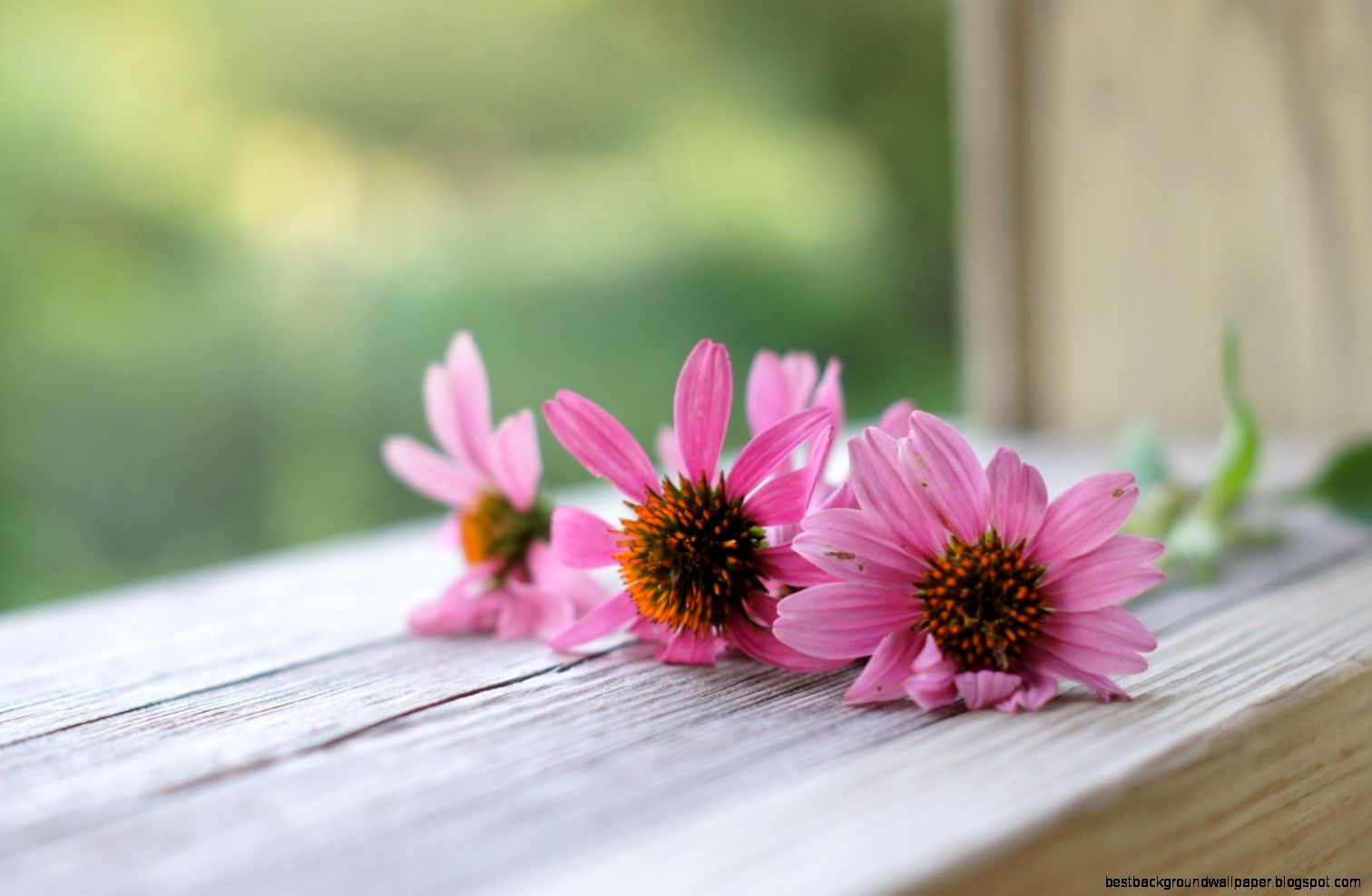 Lovely Windowsill wallpaper 1680x1050 33847 Lovely Windowsill wallpaper 1680x1050 33847