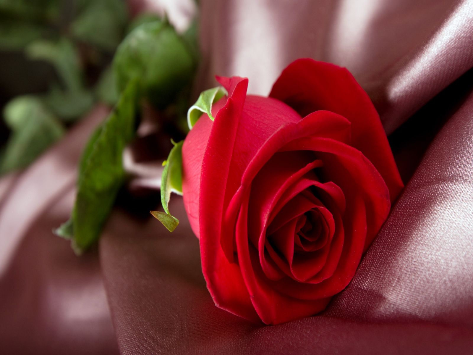 Diposkan oleh Amy Rosse di 6:01 AM Diposkan oleh Amy Rosse di 6:01 AM