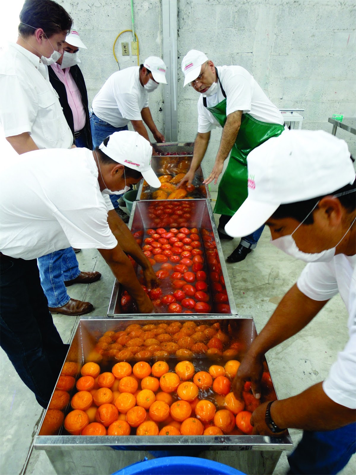 SALON EMPRENDEDORECUADOR Fábrica de Pulpas