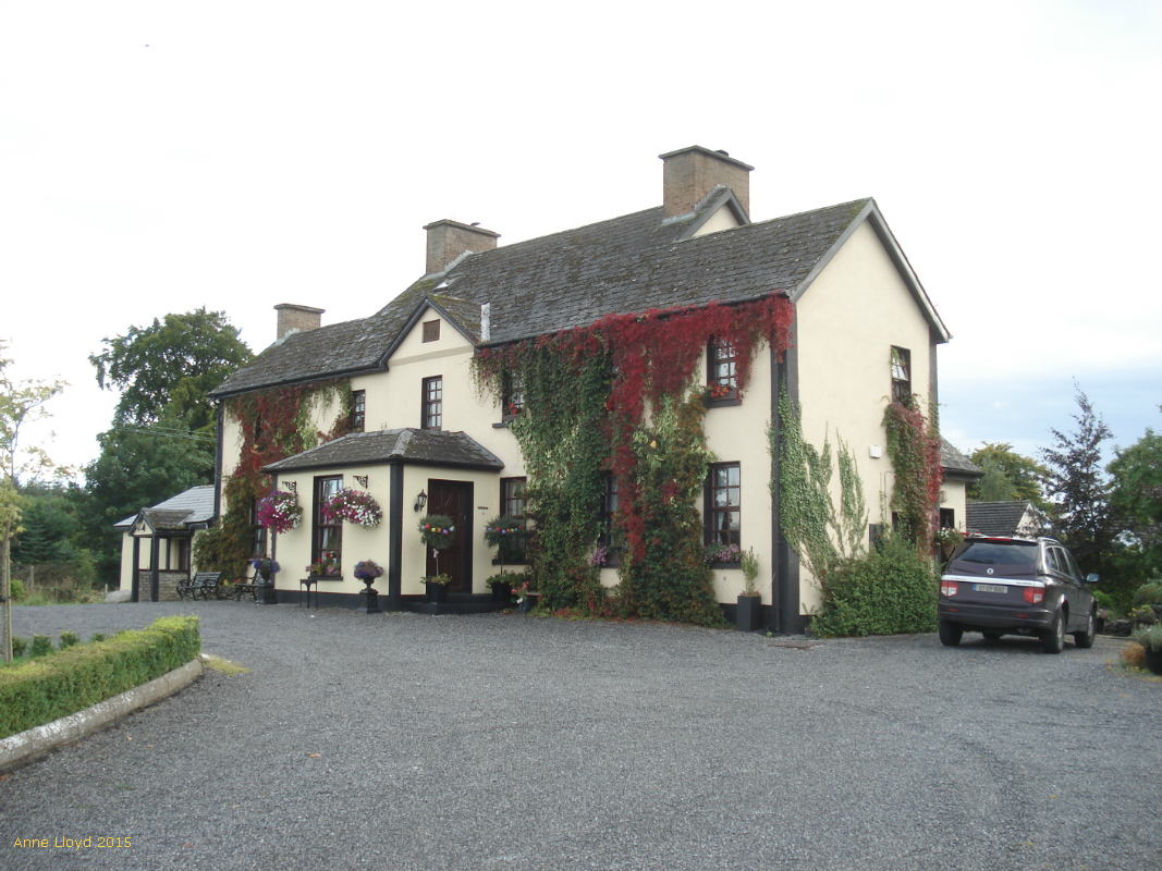 Stay At Home Artist Banagher