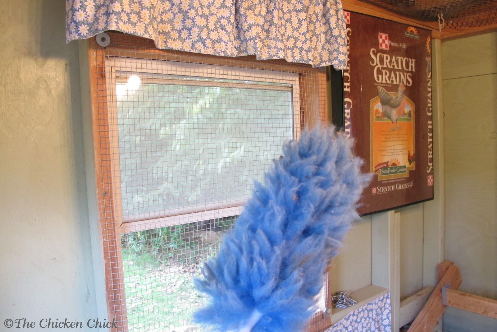 The Chicken Chick® 5 Tips for a Cleaner Coop with Less Effort