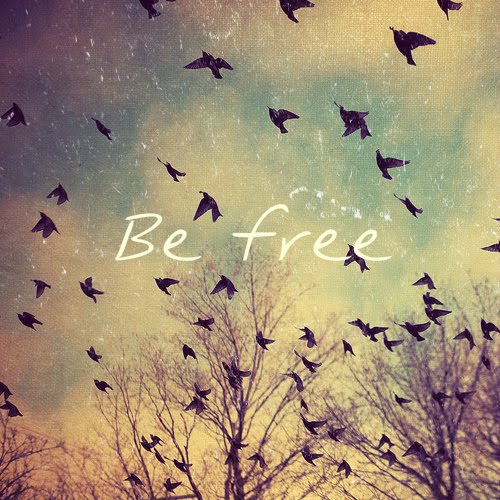 Seja Livre!