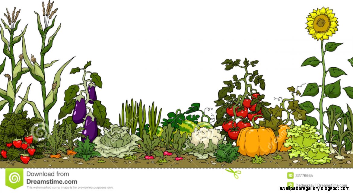 15 Best Photos of Vegetable Garden Clip Art Community Vegetable 15 Best Photos of Vegetable Garden Clip Art Community Vegetable
