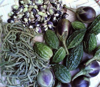 wild plants ampalaya eggplant momordica charantia varieties solanum patani melongena