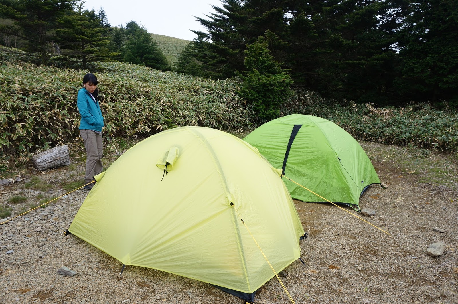 適合 金銭的 行 石鎚 山 テント timbrepost com