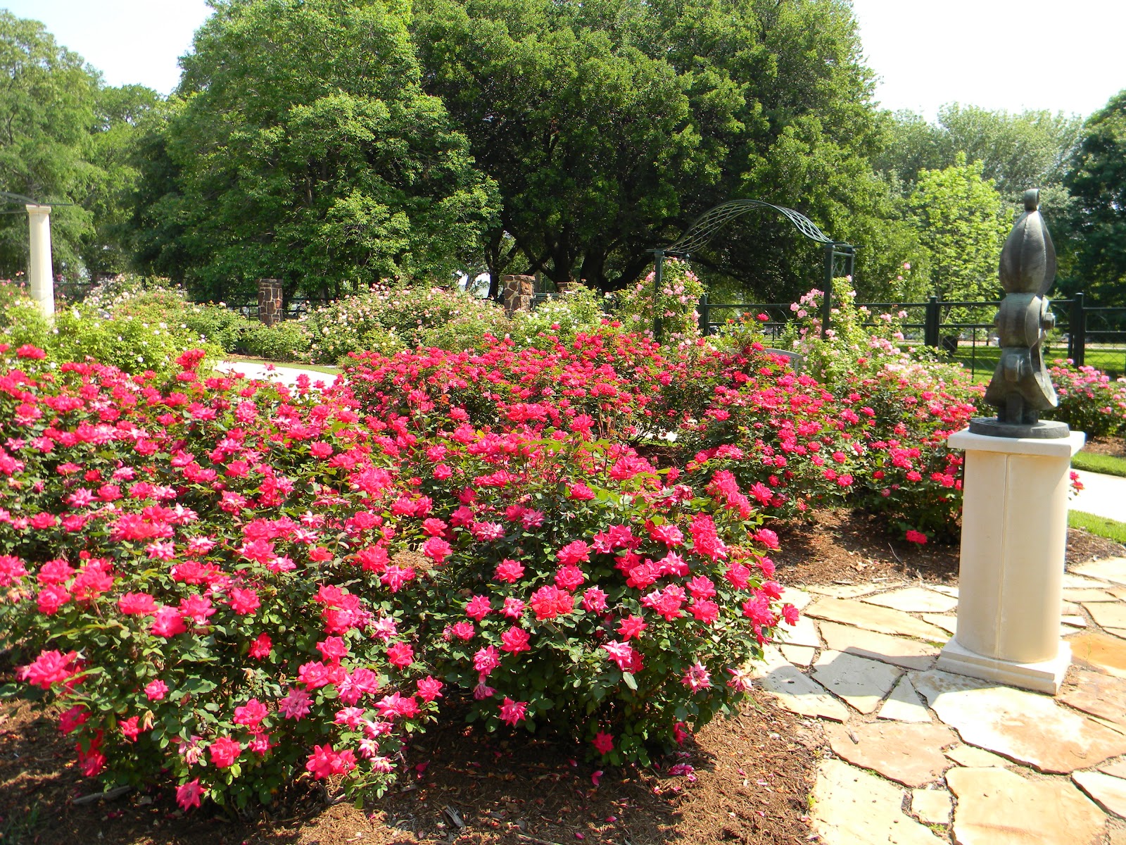 RVFulltimingLove Chamblee Rose Garden, LeGrand Gardens, Tyler, Tx