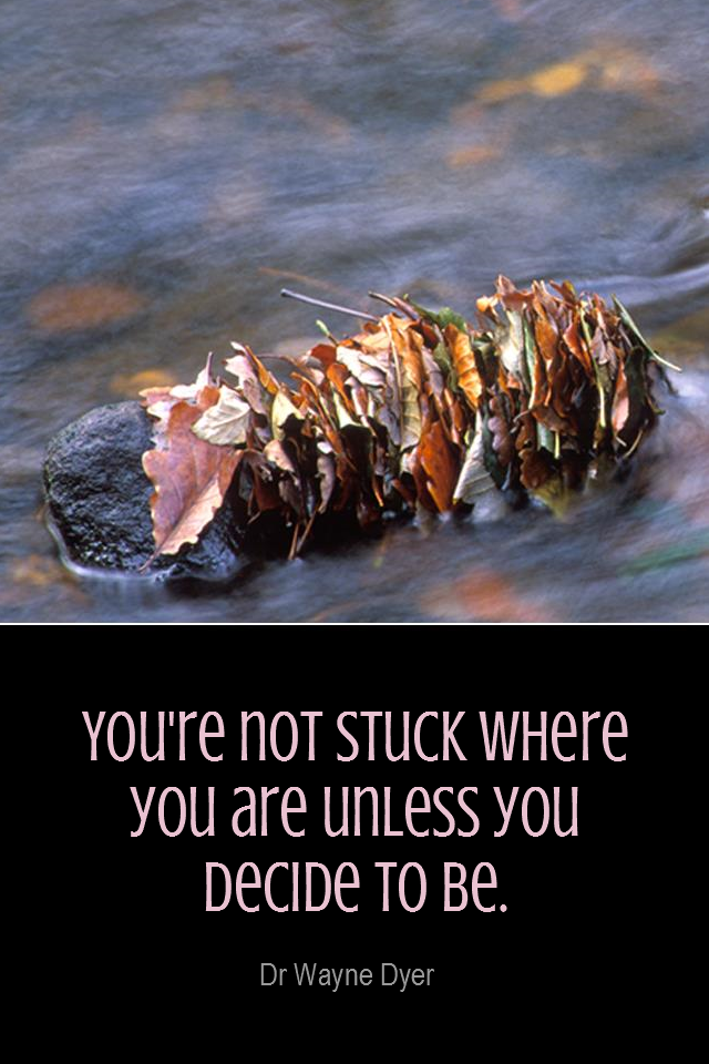 visual quote - image quotation for Motivation - You're not stuck where you are unless you decide to be. - Dr Wayne Dyer