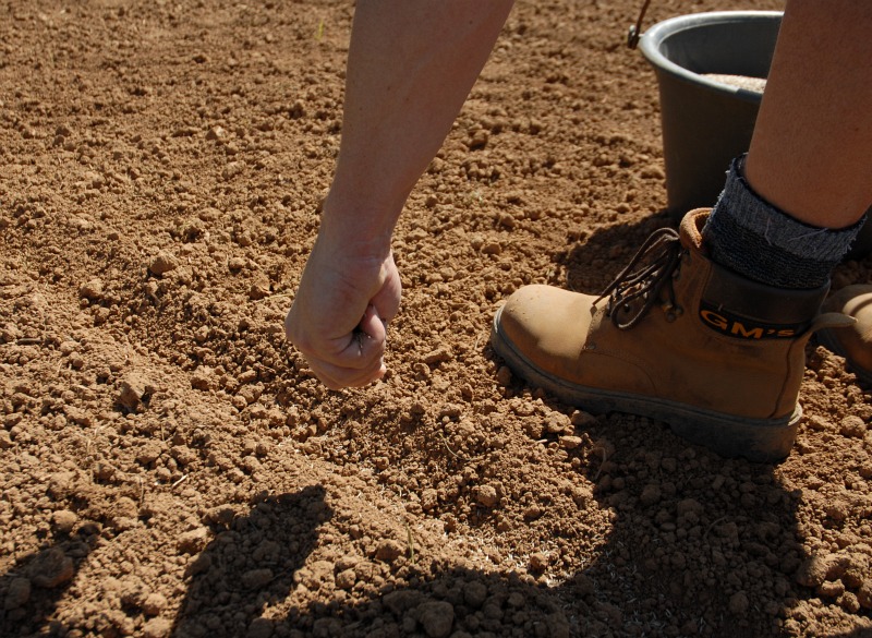 Notre maison en Provence Potager Bio en carré