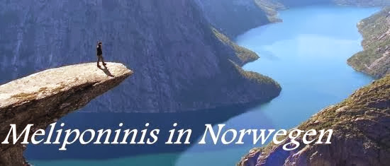     Meliponinins in Norwegen