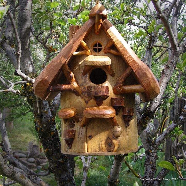 Lucinda Claire Macy Bungalow Songbird house of applewood and cedar