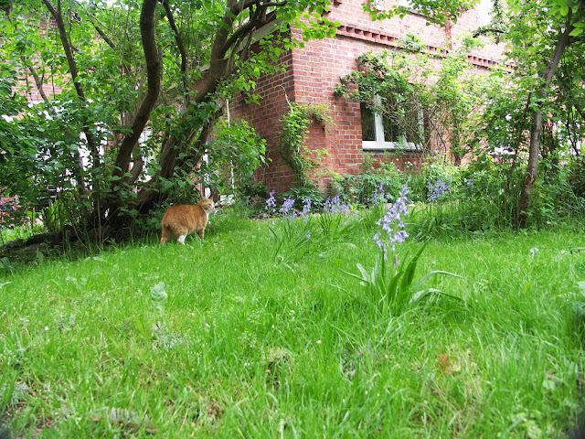 [Bild: stummel_20130525.jpg]