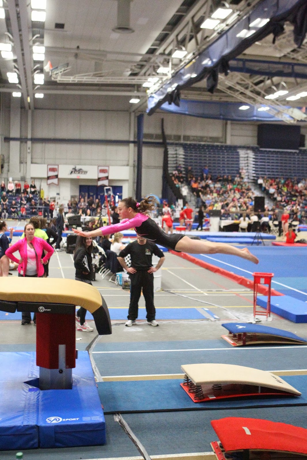 The Physics of the Gymnastics Vault Types of Forces