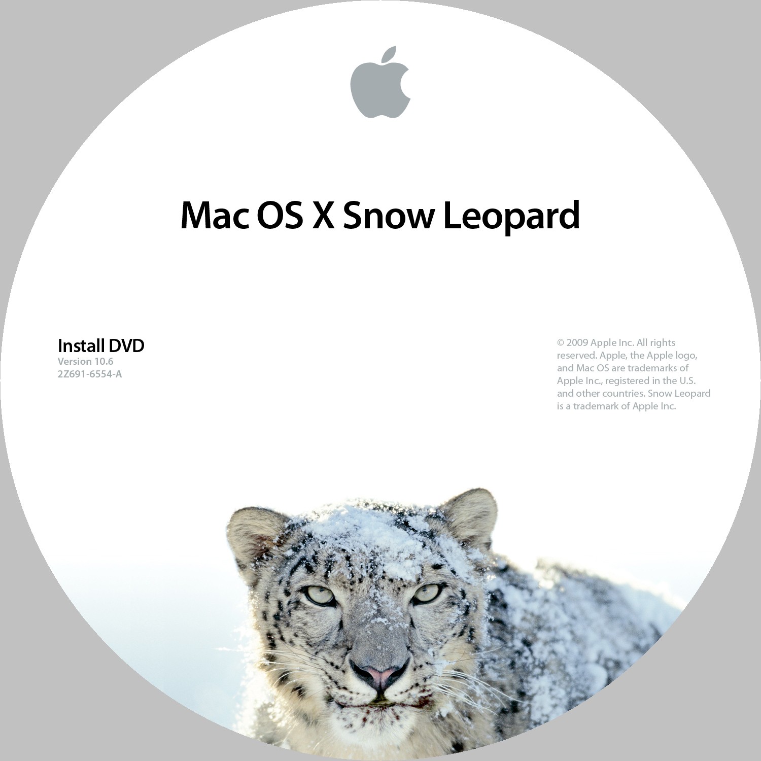 video editing for mac - snow leopard