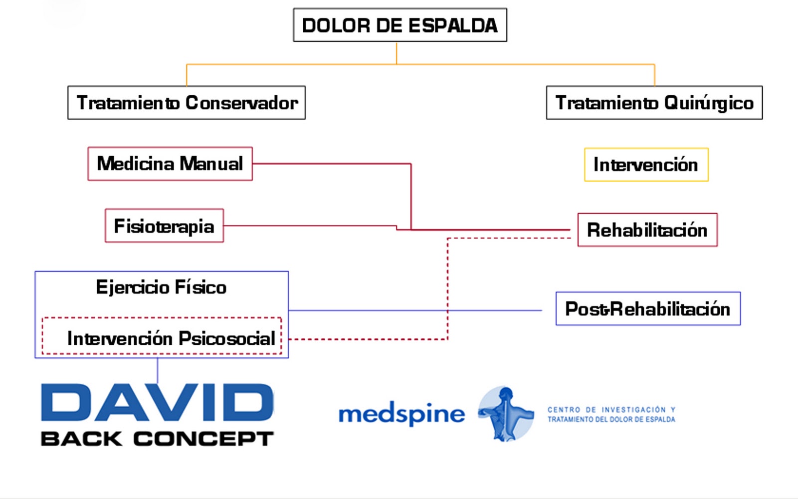 MEDSPINE: PASOS DEL PROTOCOLO DE TRATAMIENTO.