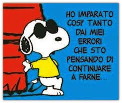 Quanto è vero il detto “Sbagliando si impara!” - Luigi Negretto