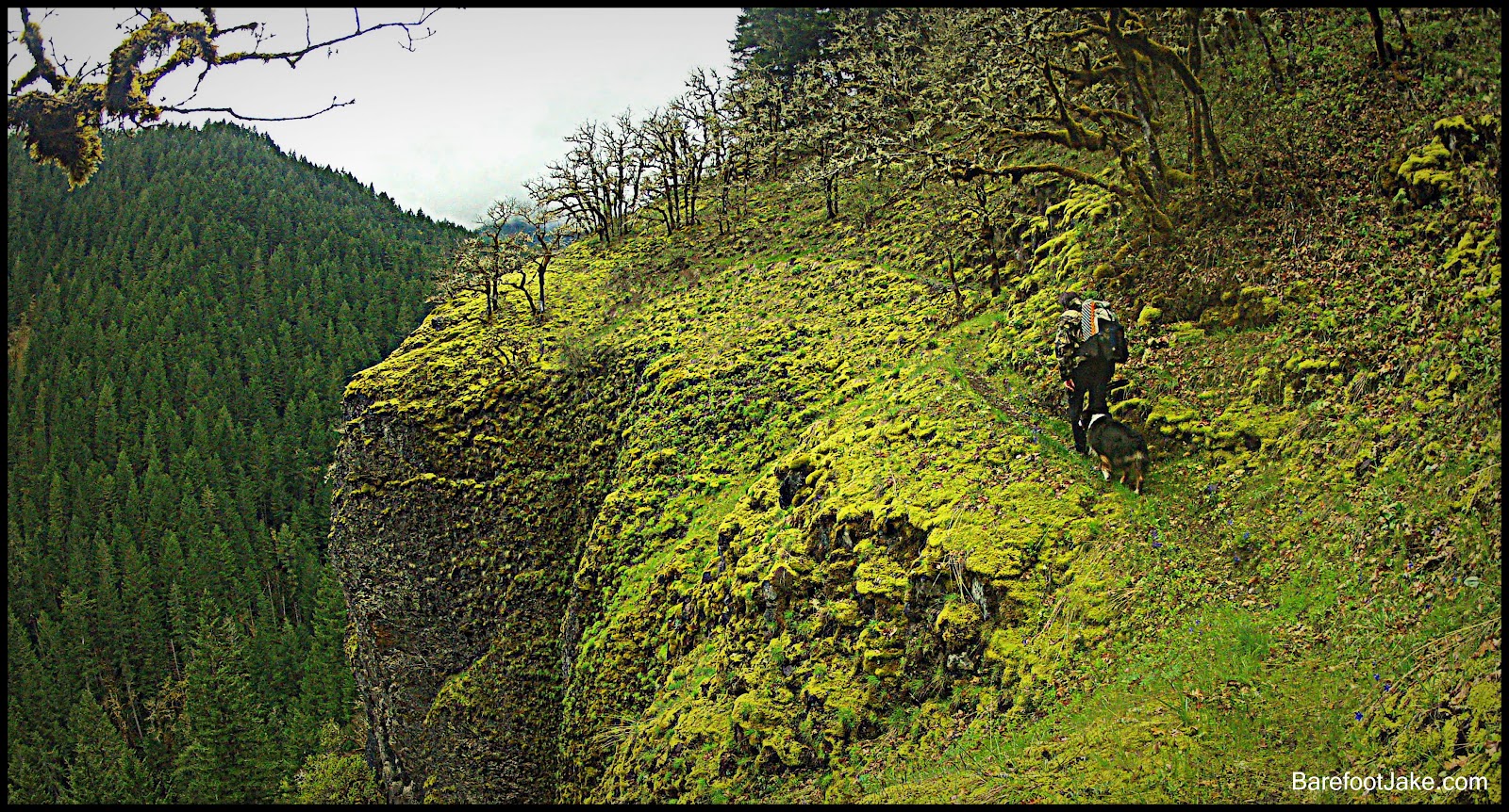 Pacific Northwest Backpacking Barefoot Jake Hike Olympic Mountains