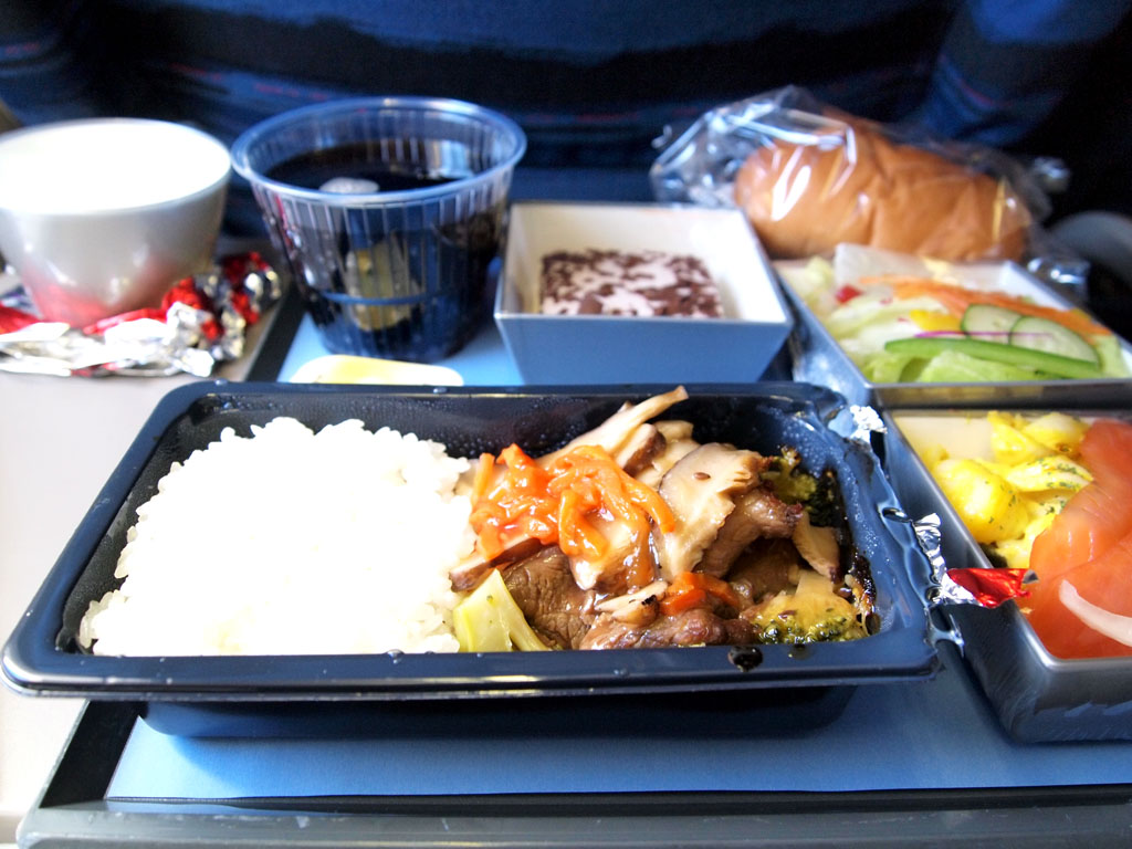 Airline Review Delta Airlines