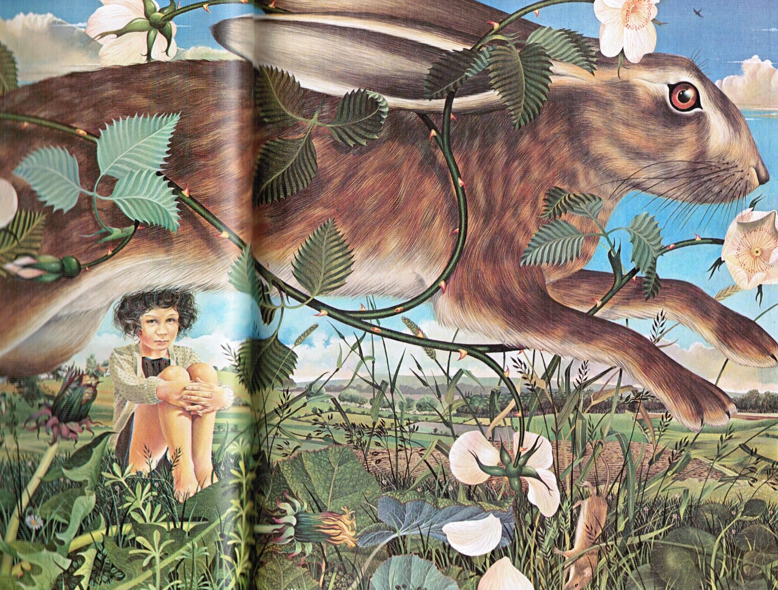 Pictures from an Old Book "Masquerade" By Kit Williams, Published by