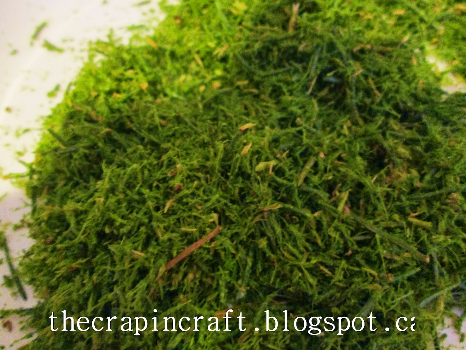 Putting the Crap in Craft DIY Fake Moss