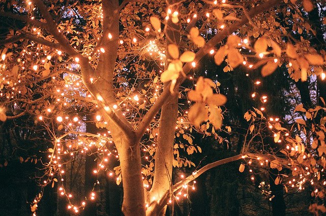Fairy Lights . . . ♥