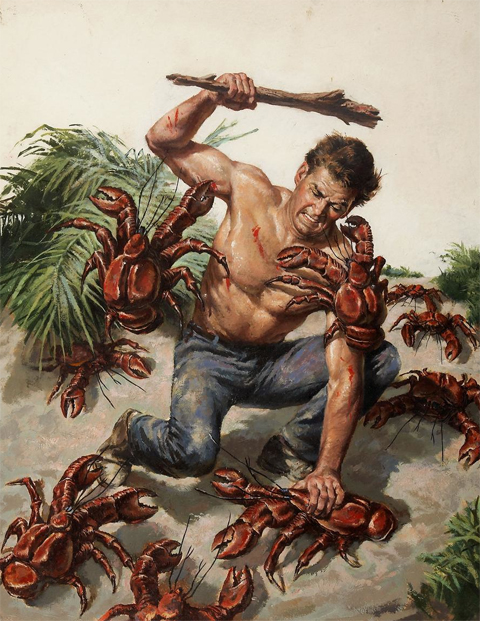 coconut-crab-battle.jpg