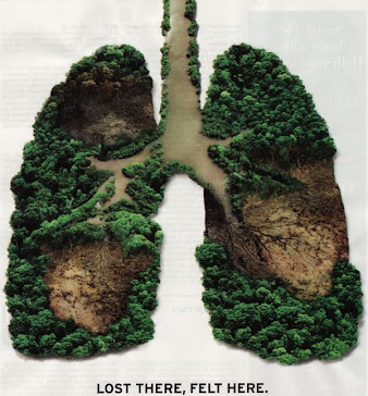 Cambodian lost Land and Lungs.