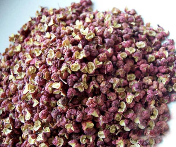 A Bite of Life in SF Szchuan Cuisine_ Sichuan Numbing Peppercorn