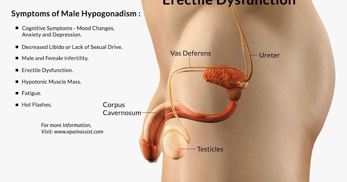 Natural Erection Home Remedy Natural Erection Home Remedy