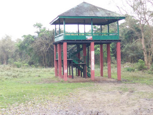 Elephant ride mounting platform in Kaziranga national park.