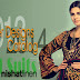 Nishat Winter Designs 2013-2014 Catalog | Adorable Colours and Ravishing Embroidered Seasonal Dresses