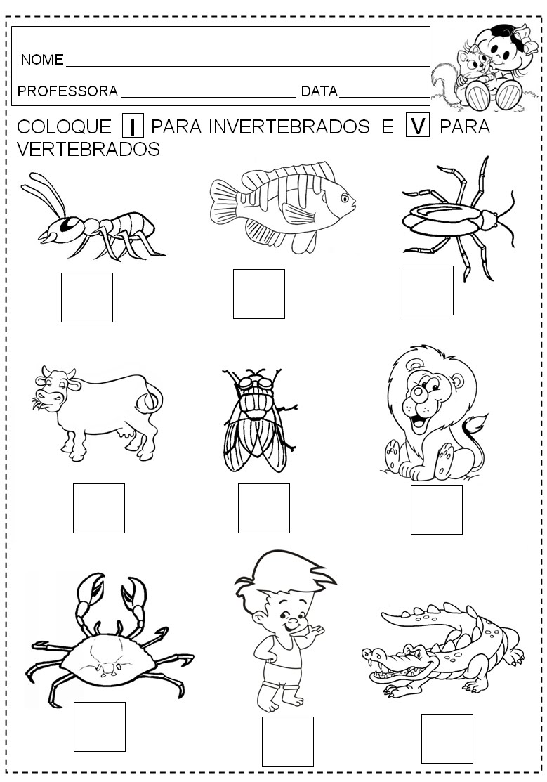 PORTAL ESCOLA: ANIMAIS VERTEBRADOS E INVERTEBRADOS - ATIVIDADES E