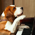 Στο σκύλο αρέσει η μουσική...