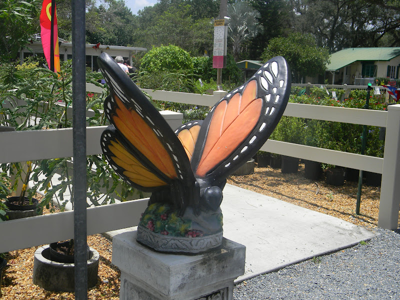 The "Unknown" Florida Lukas Nursery/Butterfly Encounter Oviedo, FL